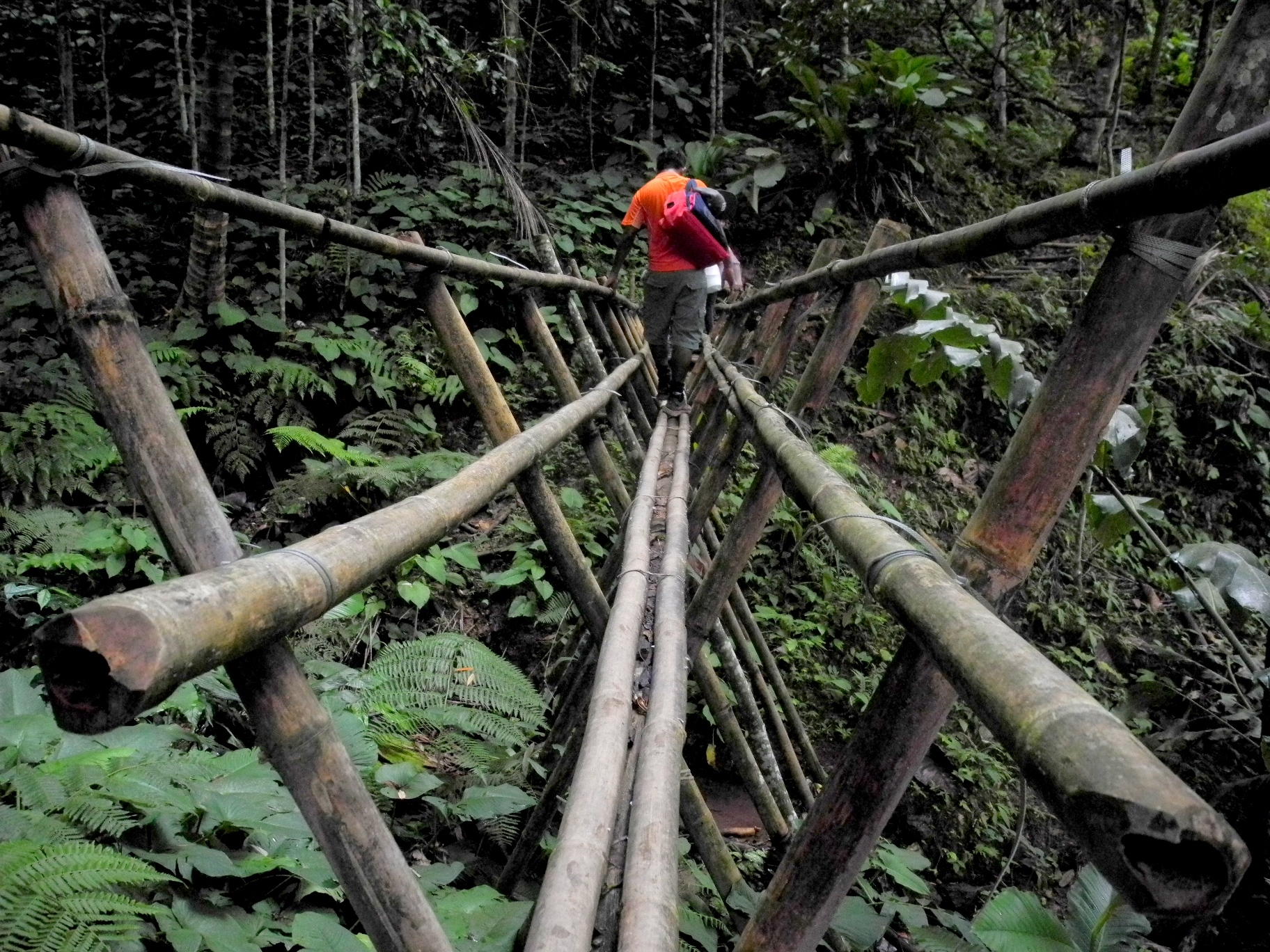 Bamboo bridge in Kiding Village with Backyard Tour Malaysia