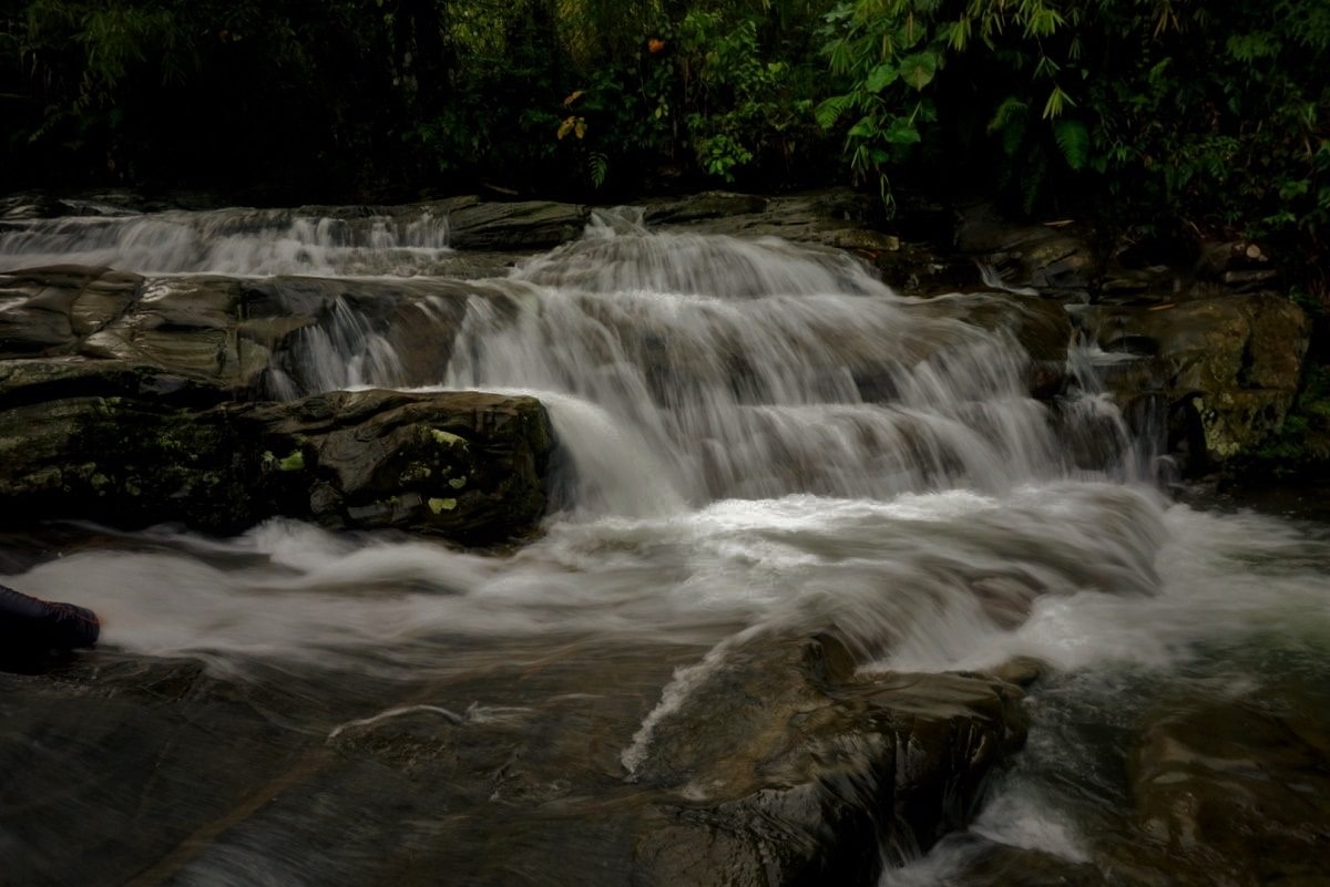 Relaxing Tropical Escape Day Tour with Backyard Tour Malaysia