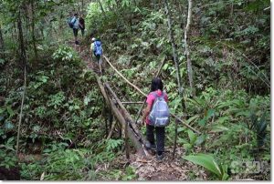 One of the three bamboo bridges on the trail to Ban Buan Kukuot with Backyard Tour Malaysia