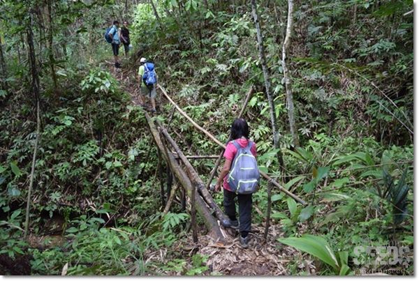 One of the three bamboo bridges on the trail to Ban Buan Kukuot with Backyard Tour Malaysia