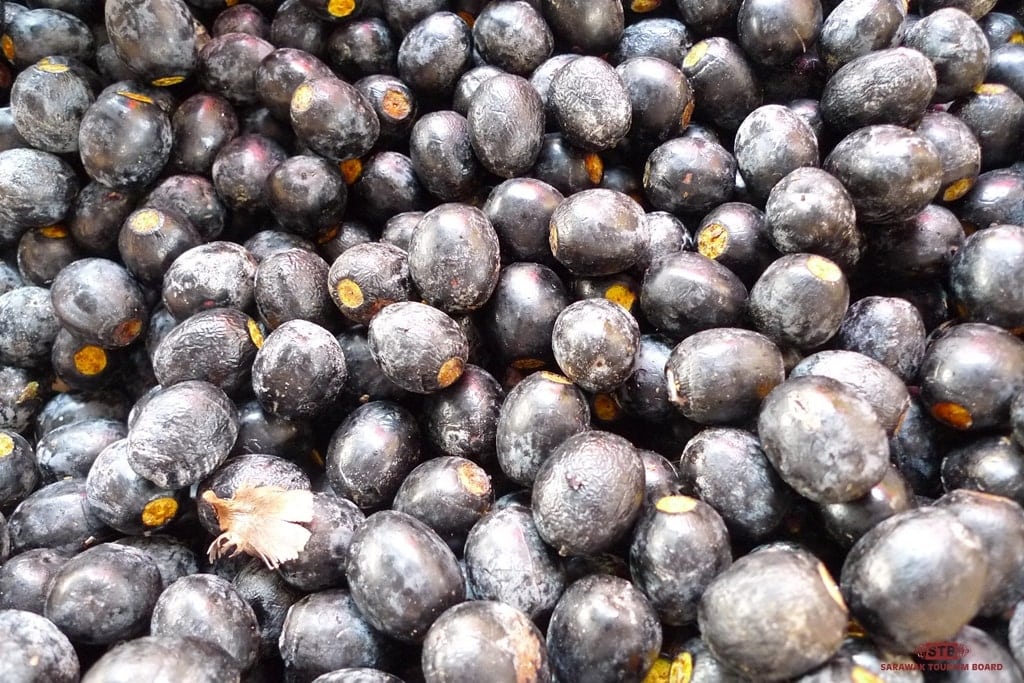 Dabai, the exotic fruit of Borneo