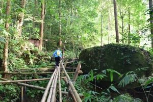 Trekking through Bamboo Bridge with Backyard Tour Malaysia