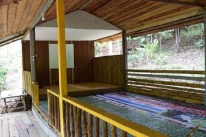 Jungle Hall belongs to the homestay with Backyard Tour Malaysia