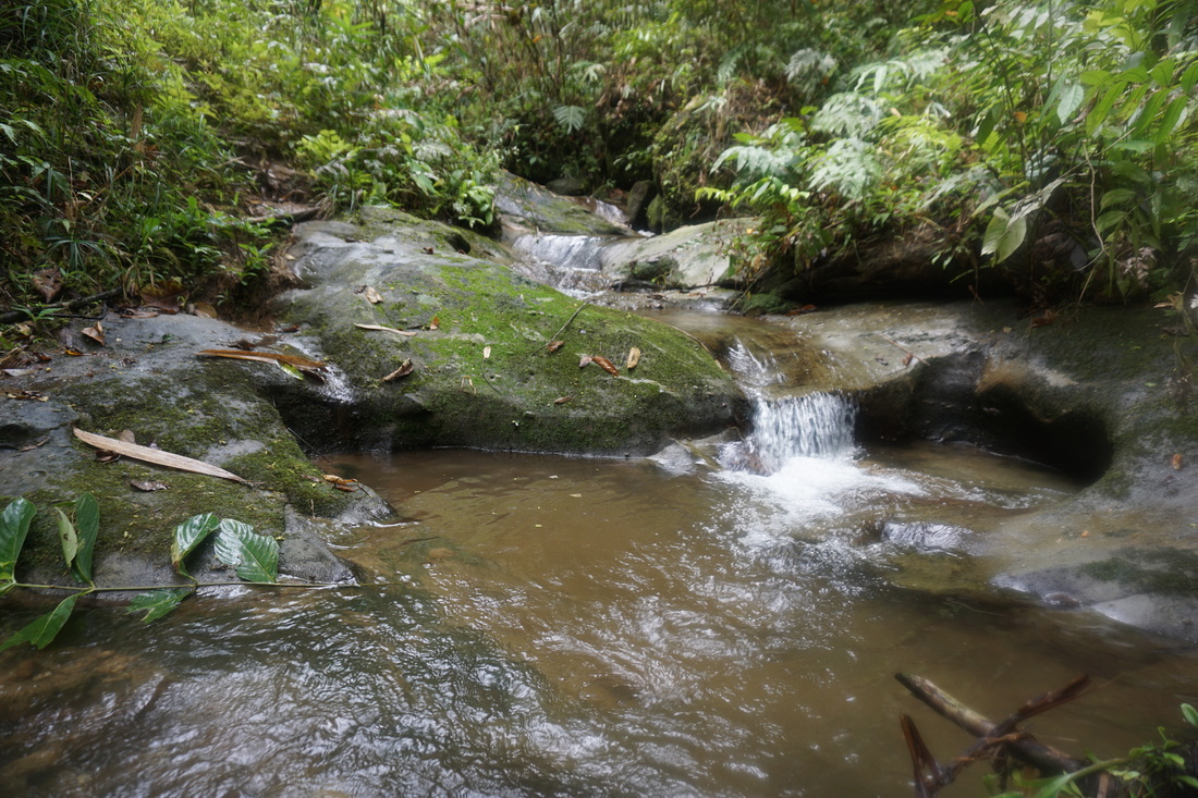 A stream that we passed by with Backyard Tour Malaysia