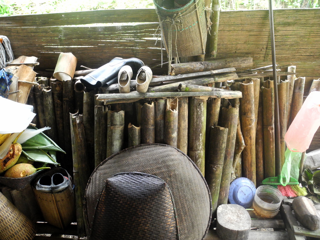 Bamboo galore with Backyard Tour Malaysia