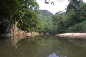 Reflective Semedang river with Backyard Tour Malaysia