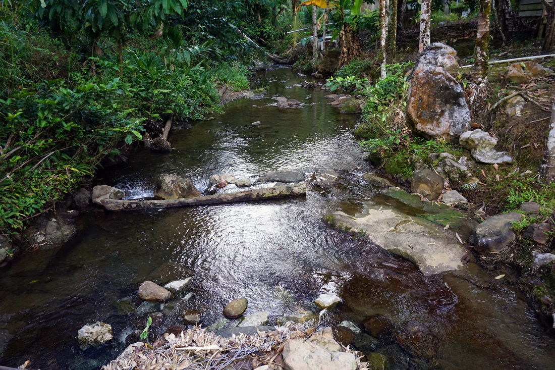 One of the rivers that flow through Begu with Backyard Tour Malaysia