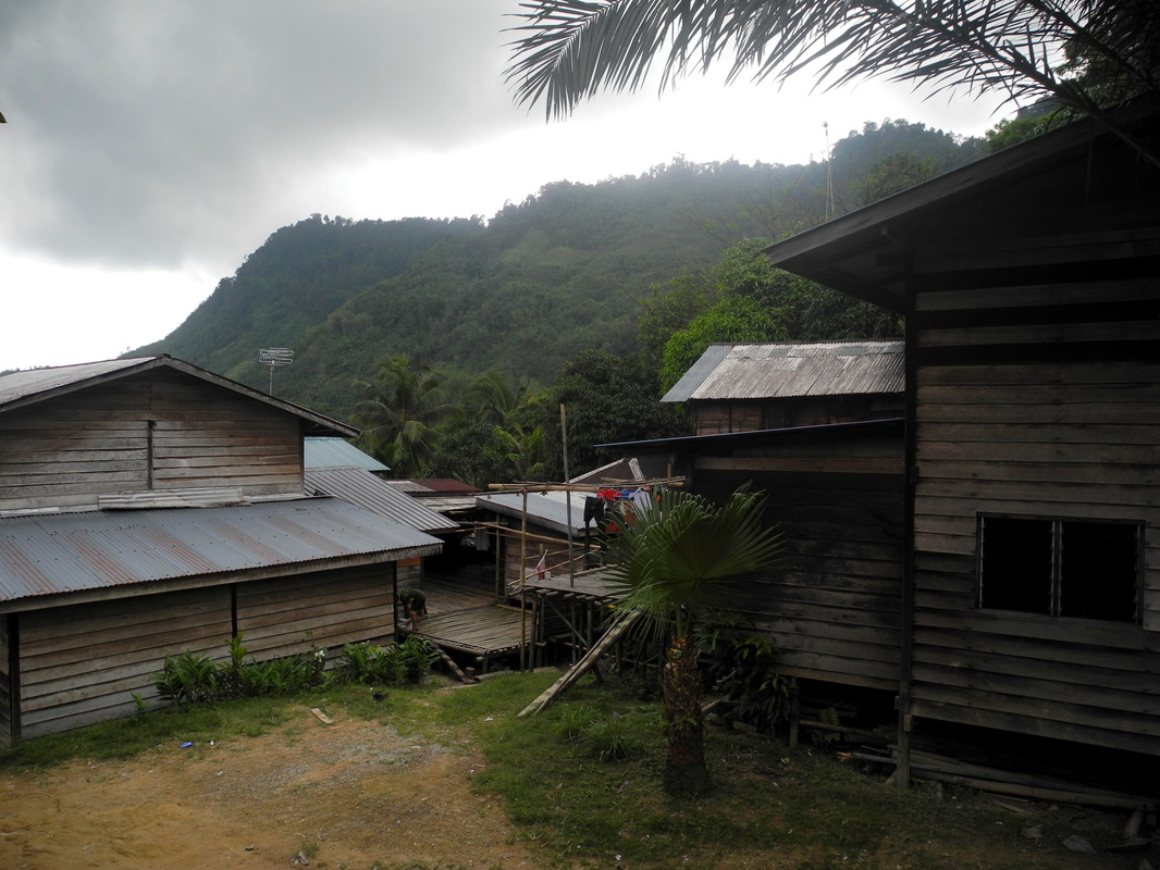 A view of the village with Backyard Tour Malaysia