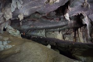 Accessible via a half an hour boat ride, visitors can spend time marveling at the limestone formations inside while get a taste of cave adventure with Backyard Tour Malaysia