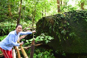 Bamboo bridges and BIG rocks with Backyard Tour Malaysia