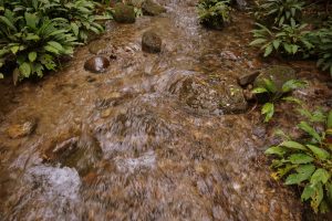 Clean water in Kampung Parang with Backyard Tour Malaysia
