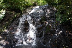 A pretty little waterfall with Backyard Tour Malaysia
