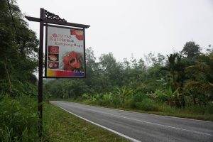Kampung Begu's Rafflesia growth site with Backyard Tour Malaysia