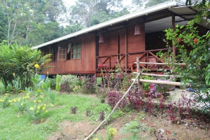 Semadang Village with Backyard Tour Malaysia