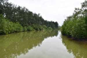 Pueh River with Backyard Tour Malaysia