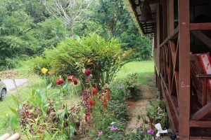 Rabak villagestay, in Kampung Semedang with Backyard Tour Malaysia