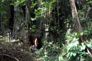 Human scale to cave mouth with Backyard Tour Malaysia
