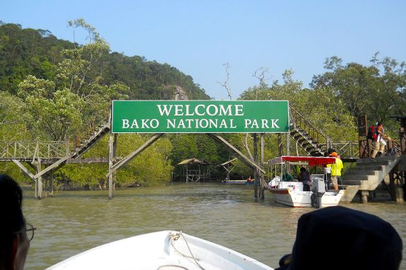 Bako National Park, Kuching with Backyard Tour Malaysia