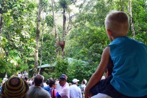 4D3N Mountain Village Experience: Watching orang utans with Backyard Tour Malaysia