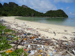 But beaches are getting dirty with rubbish with Backyard Tour Malaysia