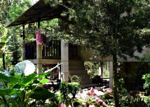 Penot JunMain House of Penot Borneo Junglestayglestay with Backyard Tour Malaysia