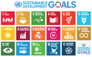 Sustainable Development Goals (SDGs) with Backyard Tour Malaysia