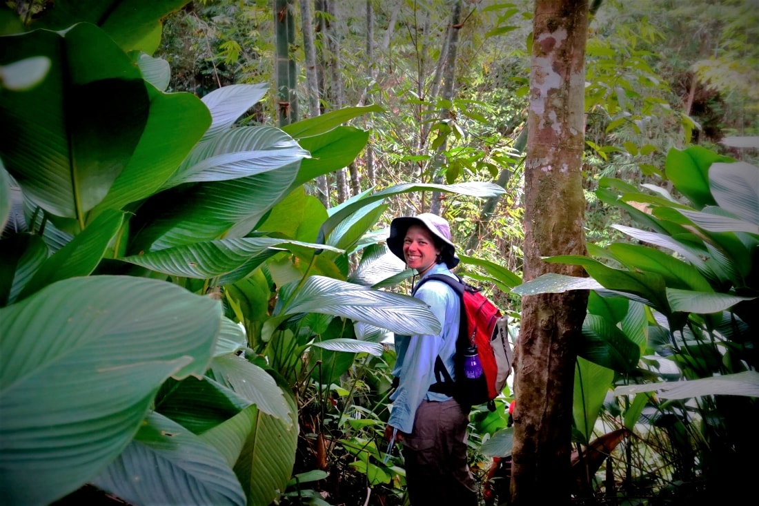 Trek through the rainforest in Kuching with Backyard Tour Malaysia