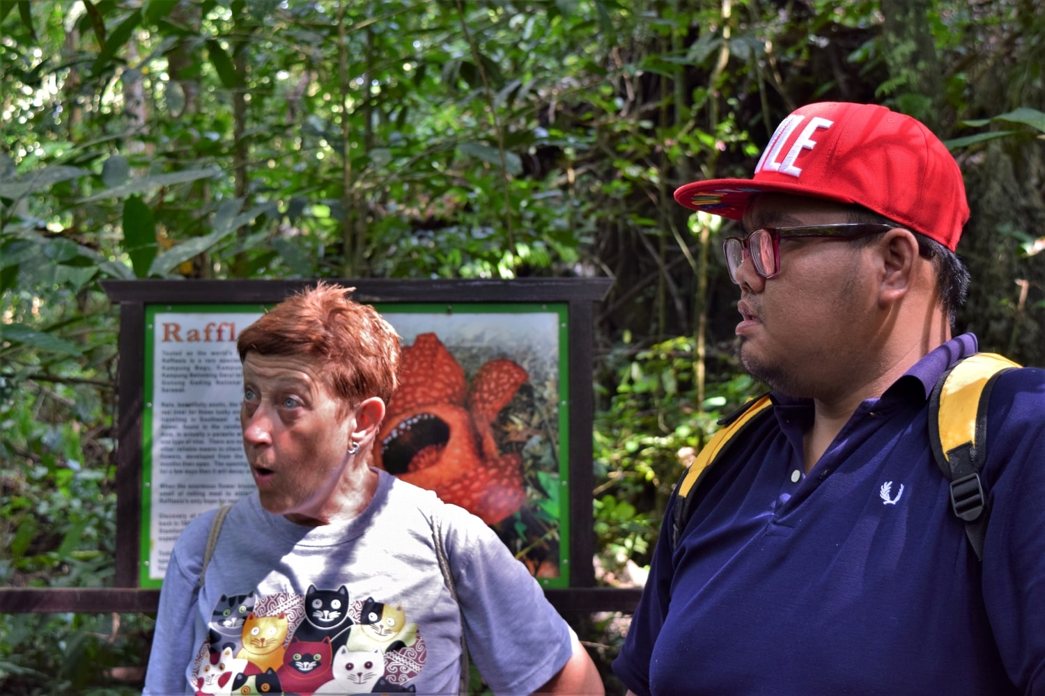 Begu Rafflesia Site features the rare Rafflesia flower in Kuching with Backyard Tour Malaysia