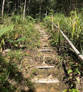 Trekking in Kuching, bamboo pathway with Backyard Tour Malaysia