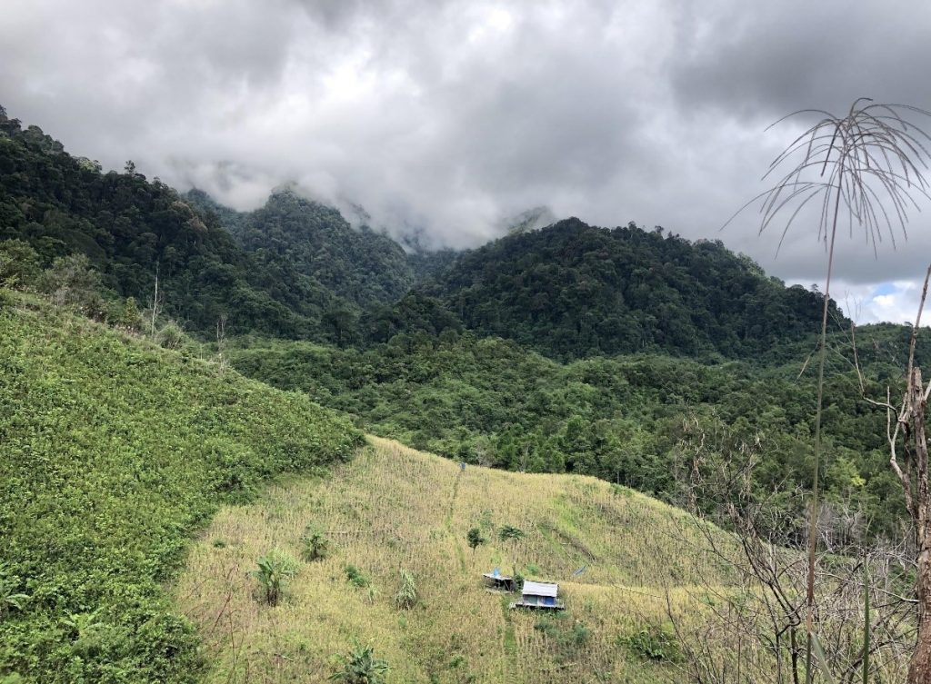 Farm view trekking in Kuching, Sarawak with Backyard Tour Malaysia