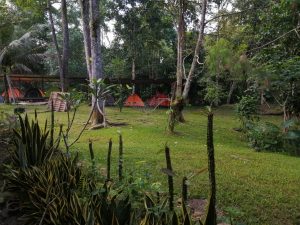 Campsite area of Penot Borneo Junglestay