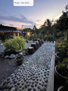 Garden of Penot Borneo Homestay garden